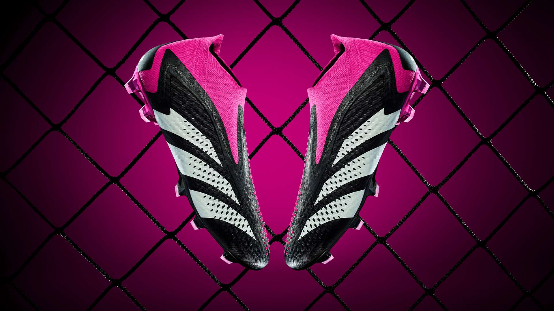 案例分析 案例分析