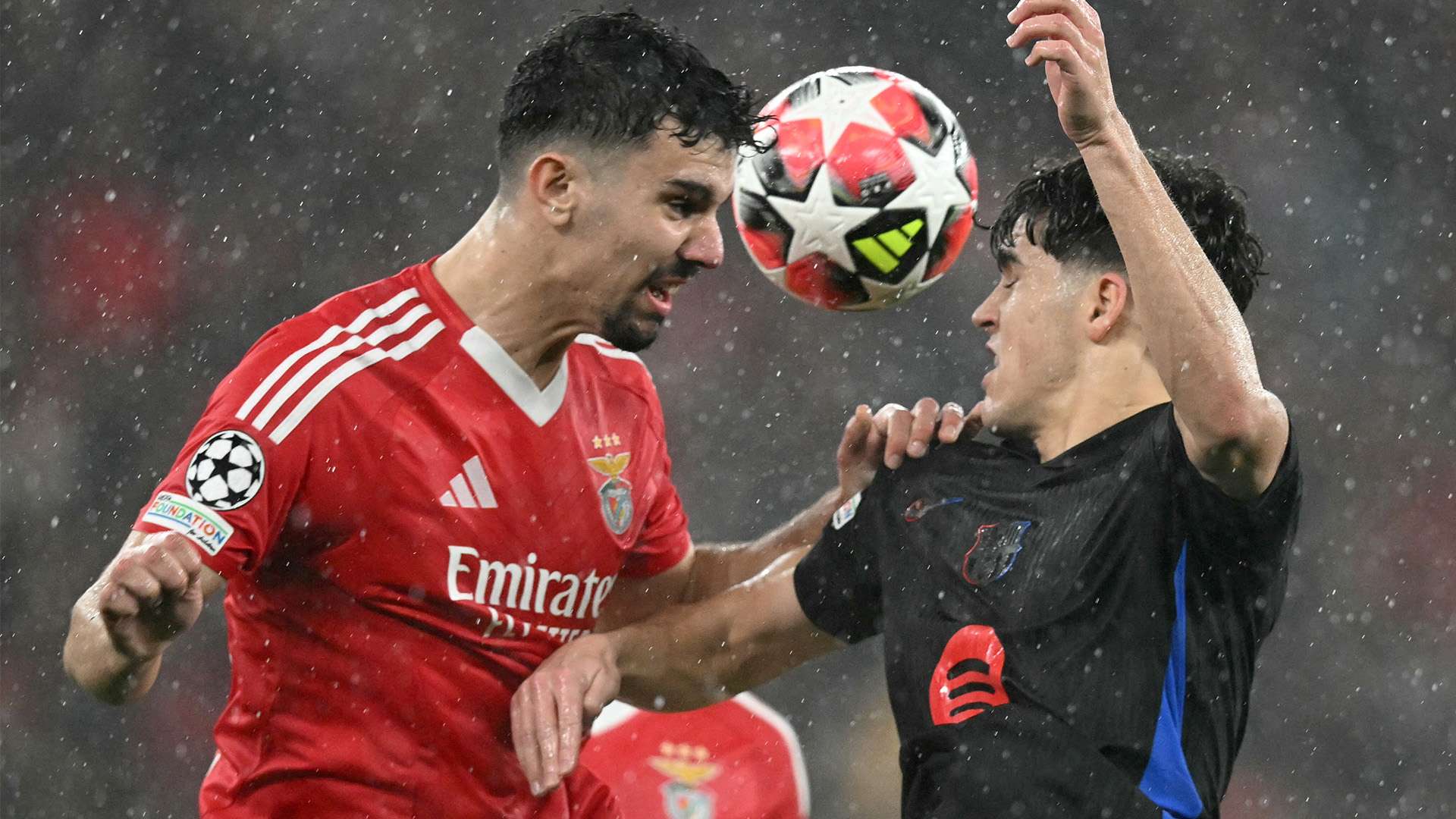 的视角出发 的视角出发