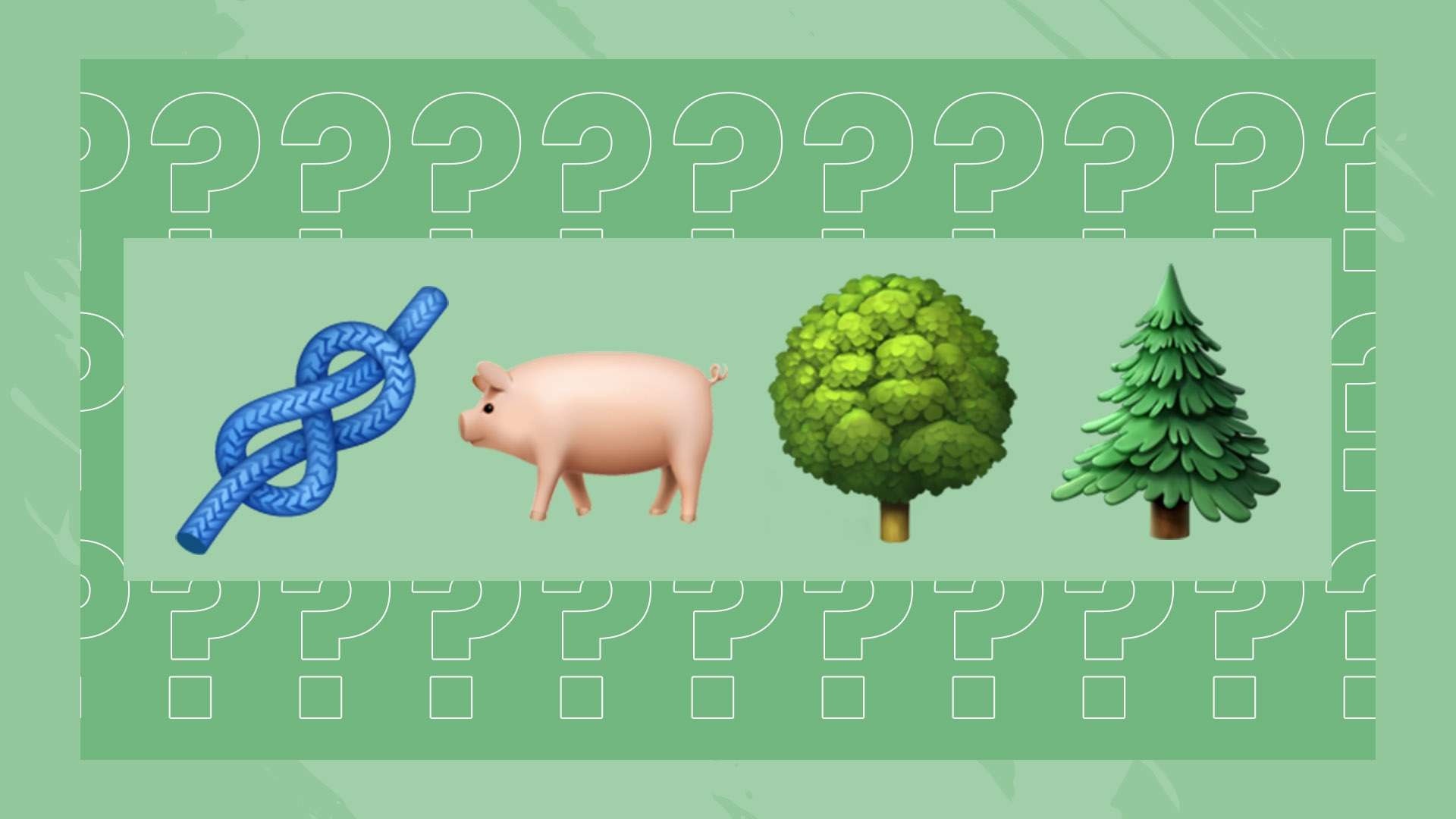 理解与尊重 理解与尊重