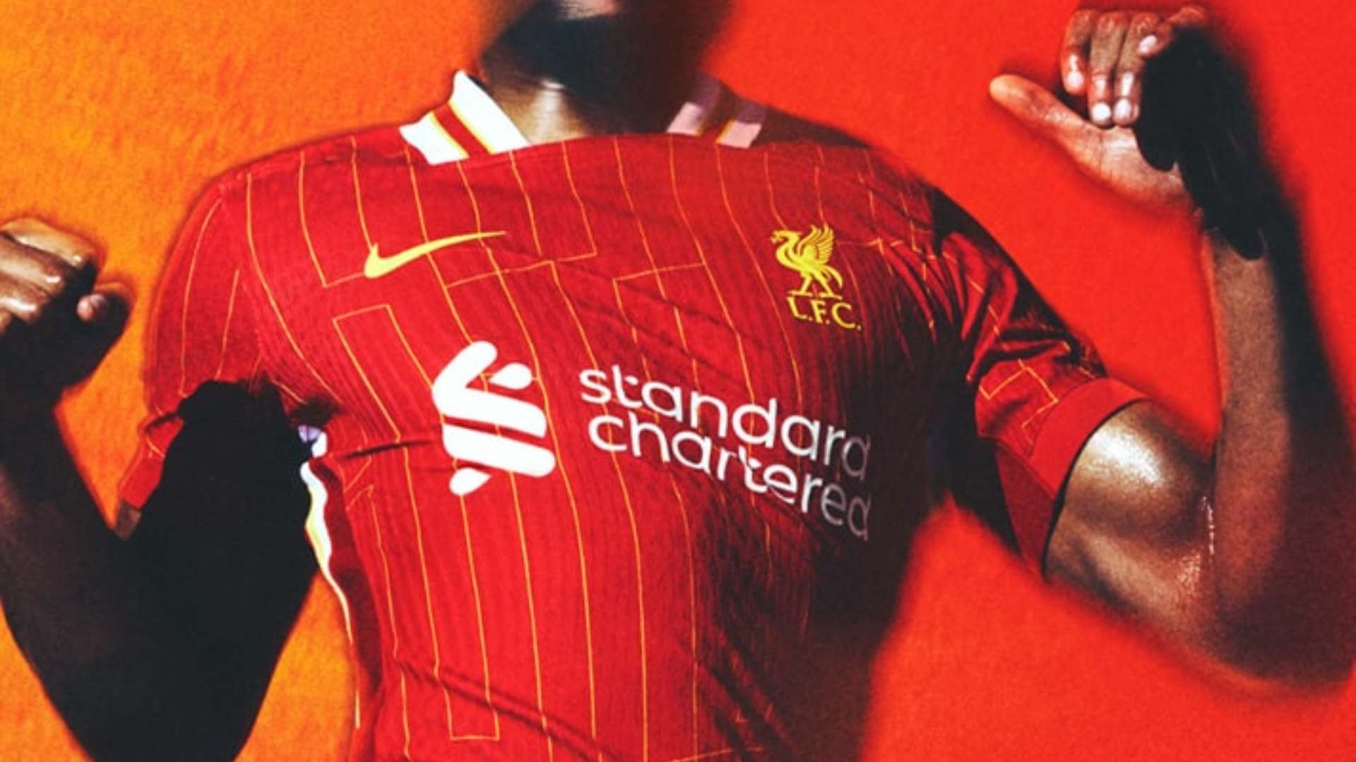 的未来去向 的未来去向